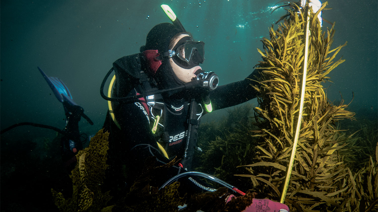 Een luxe automerk redt de oceaan; dat is minder ironisch dan het klinkt